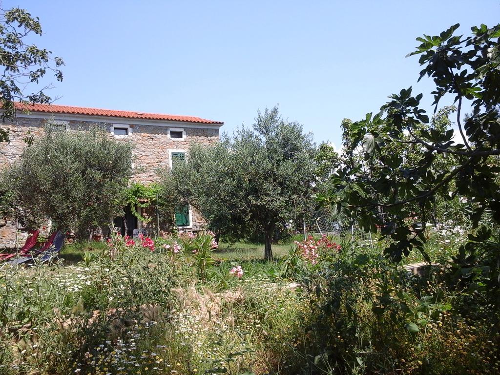 Villa Kmetija Medljan à Izola Extérieur photo